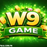 w9 Game