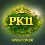 pk11 game download