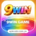 9win Game