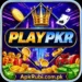 Playpkr Game