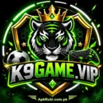 K9 Game